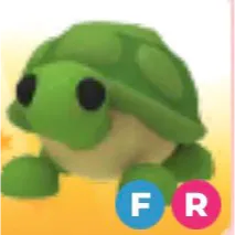 FR Turtle