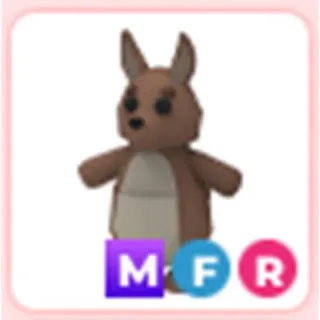 MFR KANGAROO 