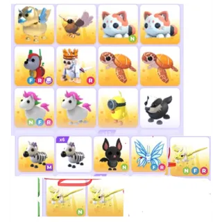 Pets bundle 