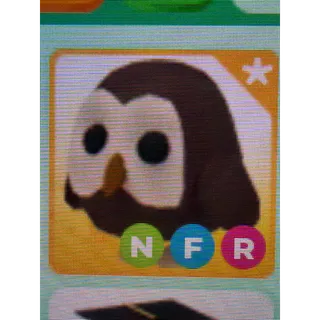 Adopt Me|NFR Owl