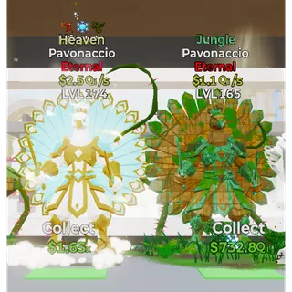 Heaven & Jungle Pavonaccio