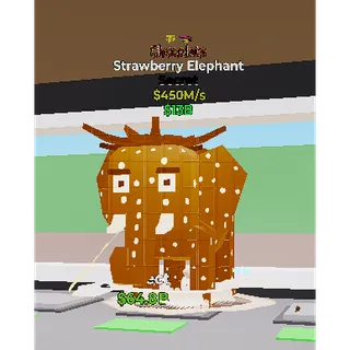 Chocolate Strawberry Elephant 