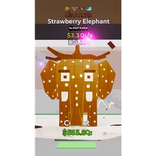 Chocolate Strawberry Elephant 4 Traits