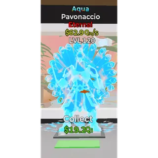 Aqua Pavonaccio LVL 120
