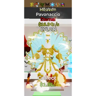 Heaven Pavonaccio 7 Traits 