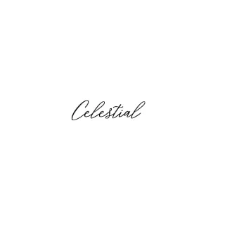 $100.00 USD shopcelestiall.com