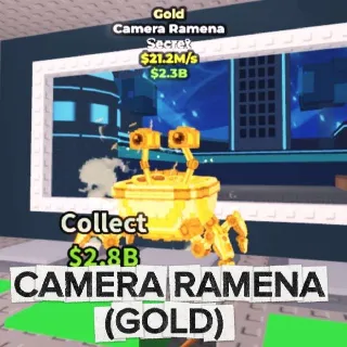 Camera Ramena
