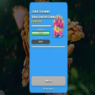 Dragonfruitini Exclusive