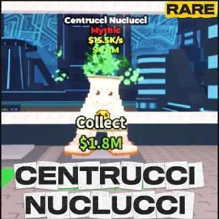Centrucci Nuclucci