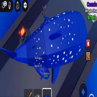 Big Whale Shark