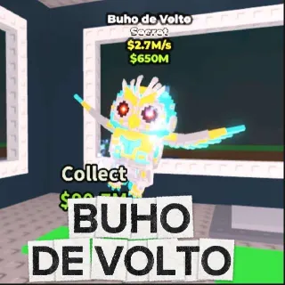 Buho De Volto