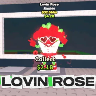 Lovin Rose