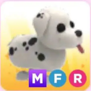 Mfr dalmation