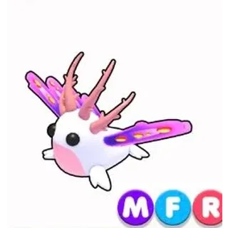 Mfr sea slug