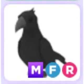 Mfr crow