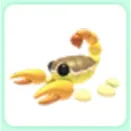 Deathstalker Scorpion