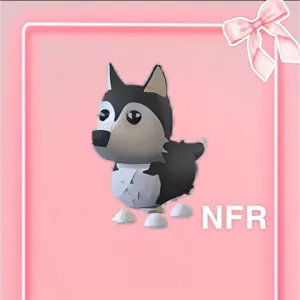 nfr husky