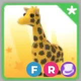 Giraffe FR