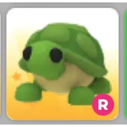 Ride Turtle