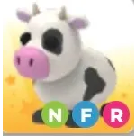Cow Nfr