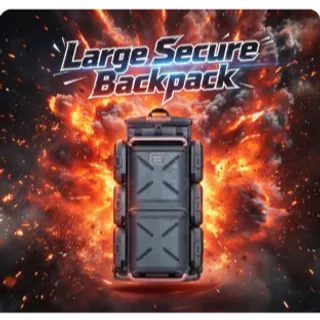 COD MW4/DMZ ×1 Large Secure Backpack All Platforms		 		