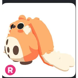 Ride Cabbit 