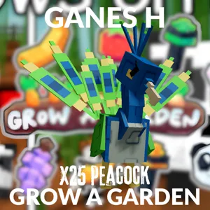 X25 Peacock For Event