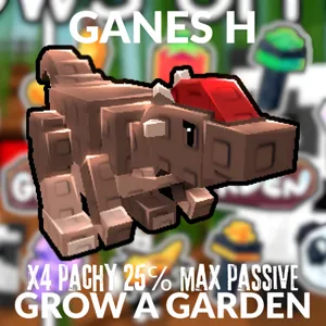 X4 Pachy 25% PASSIVE PET