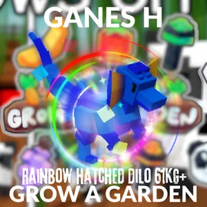 Rainbow NM Dilo 61 Kg+