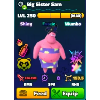 Superstar Big sister sam