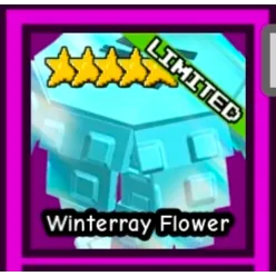 Winterray Flower