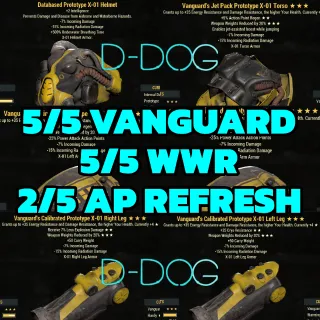 VANGUARD WWR X01 