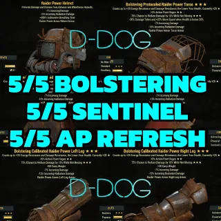 BOLSTERING SENTINEL AP