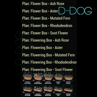 10 Flower Box 