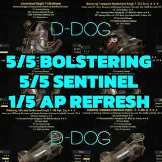 BOLSTERING SENTINEL 1AP