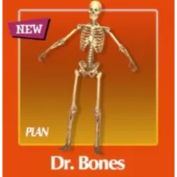 Plan: Dr Bones