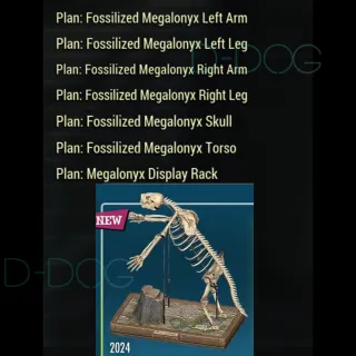 Fossilized Megalonyx Bundle