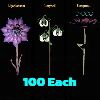 300 Hybrid Flowers