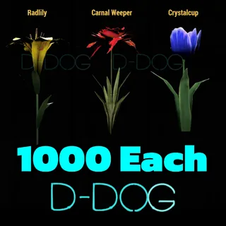 1000 Big Bloom Flower Bundle