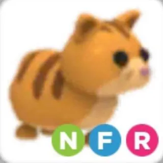 Neon Fly Ride Ginger