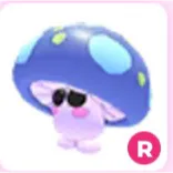 mushroom friend ( R )