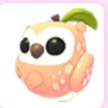 peach owl