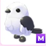 japanese snow fairy( M )