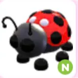ladybug ( N )