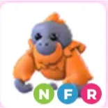 orangutan ( NFR )