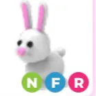 bunny ( NFR )