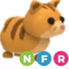 ginger cat ( NFR )