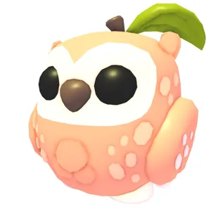 Peach Owl