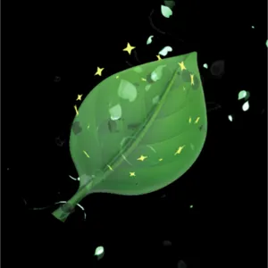 Baddies-Floating Leaf