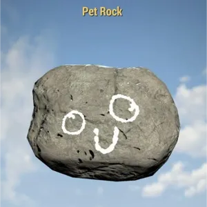 Misc Pet Rock
